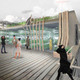 HONORABLE MENTION: URBAN FOOD SOURCE