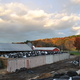 Mt. Toby dairy farm - Sunderland, MA