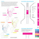 Community Impact Award (Tie): Windchimes by NYU ITP, Cooper Union, Parsons (Courtesy NYC Mayor's Office)