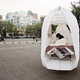 The Tricycle House and Garden by PAO and PIDO 