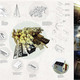 First Place: Woolopolis by Hannes Frykholm and Henry Stephens (Sweden/New Zealand)