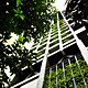 Shortlisted: The Met, Bangkok, Thailand by WOHA (Photo: Patrick Bingham-Hall)