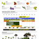 Holcim Silver Award: Urban agriculture and factory conversion, Bangkok, Thailand: Architecture integrated plants.