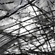 Photo: Slipstream Pavilion