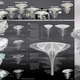 Evolo 2013 Skyscraper Competition-Third Place- Light Park, Ting Xu and Yiming Chen (China)