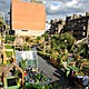 Photographs depicting last years’ Union Street Urban Orchard, produced by the same team as the Urban Physic Garden. Photographs copyright Mike Massaro.