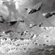the stratus project in Ann Arbor, MI by rvtr