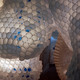 Immerse(D) by Matthew Noe & John Risi