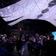 Manta (Photo: Michael Villardi)