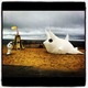 Sparky the Cowfish inflateable had a great day at the beach via Eva Lansberry