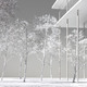 Model, trunks and columns (Image: jaja architects)