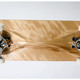 Lepidoptera Deck by Anthony Wilson