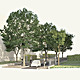 Section © West 8 urban design & landscape architecture