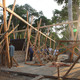 Wood construction coooming up (Photo: Zifeng Wei)
