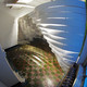 Thermal Interrelation by Robert Garlow, M.Arch Student Full Scale Partition upon heating