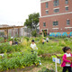 Edible Schoolyard, P.S. 216 by WORKac (Photo: Raymond Adams)