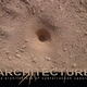 Architecture of subterranean species by J F Bautista