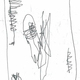 Sketch of poster from Pentagram's website