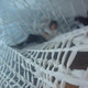 Still from the White: Book Show video on Vimeo
