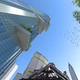Tower looking up (Image: WXY Architecture + Urban Design)