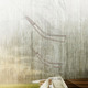 Finalist: Mat Winter, UNIVERSITY OF WATERLOO (INTERNATIONAL - STUDENT DIGITAL/MIXED)