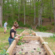 Clearing the community path and separating seedlings