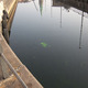 Grave of a bike in Copenhagen's many canals