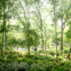Eco Spine Park Azalea Garden © West 8 urban design & landscape architecture