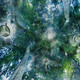 Image: Yi Yvonne Weng