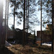Lusto - Finnish Forest Museum, Punkaharju, 1994 