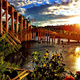 Helsinki Plant Tram via Heather Ring