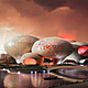 Visualization, lake view © MVRDV