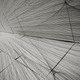 Photo: Joseph Choma