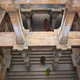 Women descending Adalaj Vav