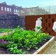 HONORABLE MENTION: BEEHIVE HIGHRISE, Julie Shell