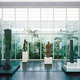 View of the tropical garden (Photo: Hickey & Robertson)