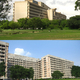 Top: Corbu's decency to break up the façade Bottom: A drab Gandhinagar 