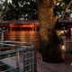 Tree Adventure in Philadelphia, PA by Metcalfe Architecture & Design