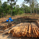 On-site prefabrication (Photo: Zifeng Wei)