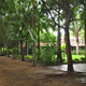 Walking path and Dhamma hall