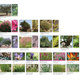Landscape material diagram (Image: Atelier3AM)