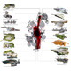 Honorable Mention: Networked Ecologies: Rethinking Remediation