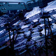 The Living: Living Light pavilion in Seoul, South Korea