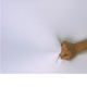 speranta-octavia maior david rhose haptic communication device ideas competition