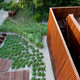 Beach Walk House in Fire Island, NY by SPG Architects