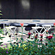 Serpentine Gallery Pavilion 2011, designed by Peter Zumthor © Peter Zumthor, Photo: Walter Herfst