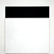 Ellsworth Kelly's 