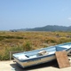 Reed Marshland Rehabilitation