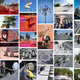 Collage by BIG