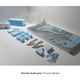Study model (Image: PAR)